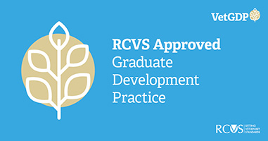 Graduate Development Practice