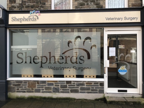 Shepherds The Vets In Port Talbot