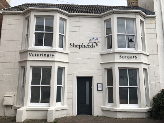 Shepherds The Vets In Porthcawl